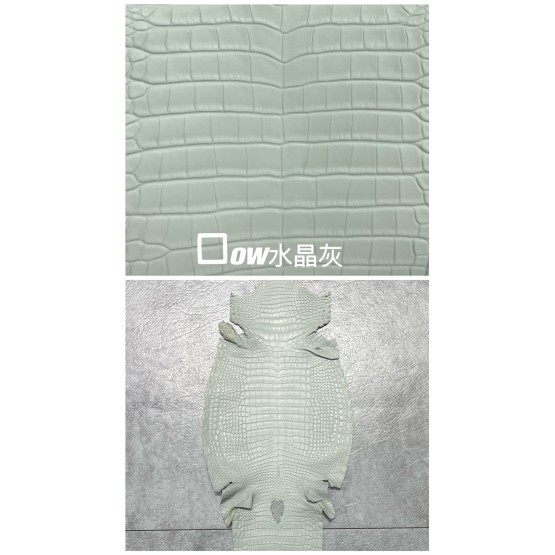 Crocodile Alligator Matte(Color Card)