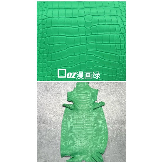 Crocodile Niloticus Matte(Color Card)