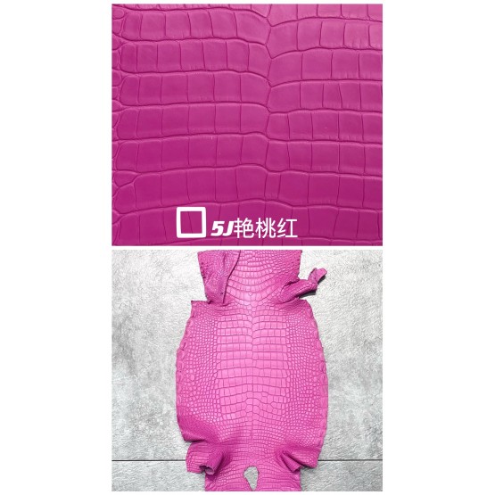 Crocodile Niloticus Matte(Color Card)