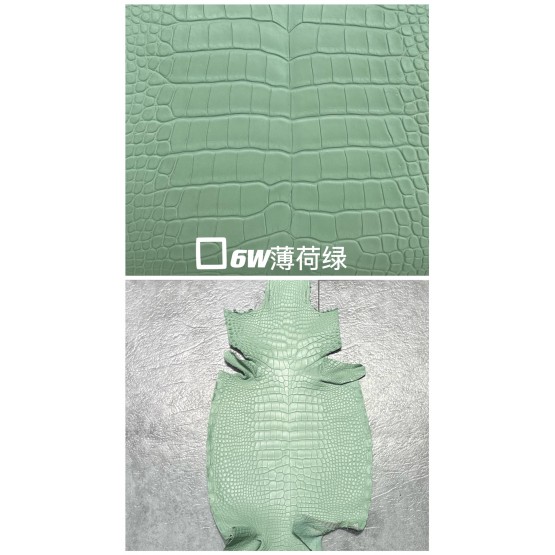 Crocodile Niloticus Matte(Color Card)