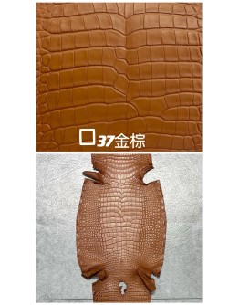 Crocodile Niloticus Matte(Color Card)