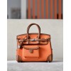 Birkin-25(Sailcloth)