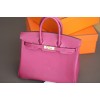 Birkin-25(Barenia)