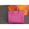 Birkin-25(Barenia)