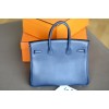 Birkin-25(Barenia)